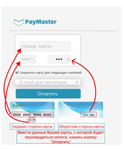 Данные карты вводятся на стороне платёжного сервиса